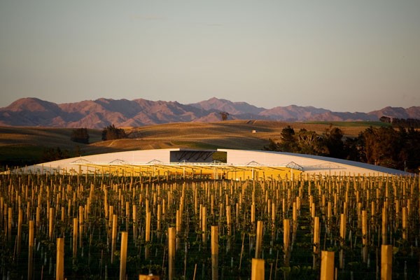 Yealands Estate winery